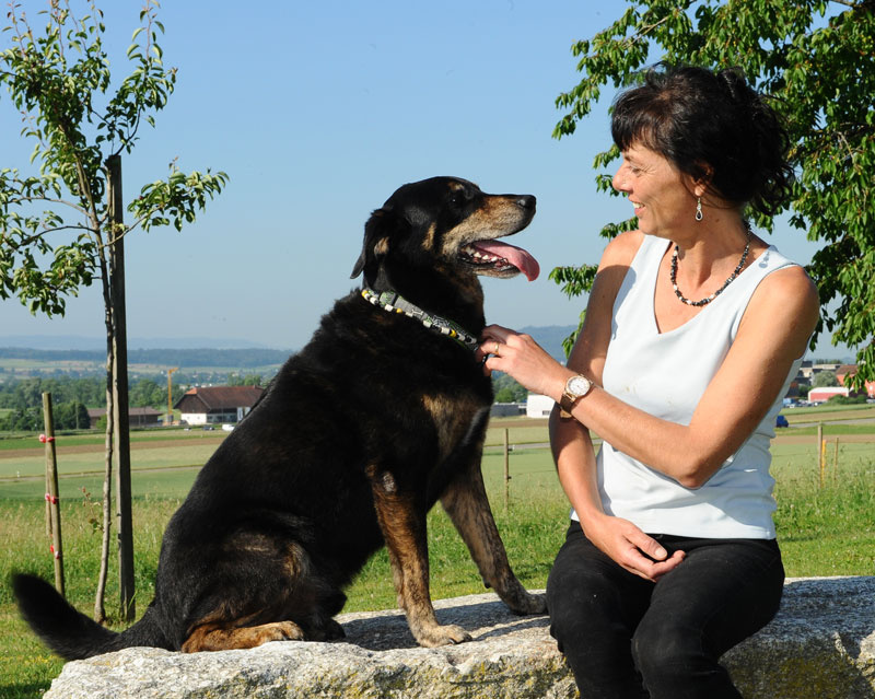 hund1.jpg