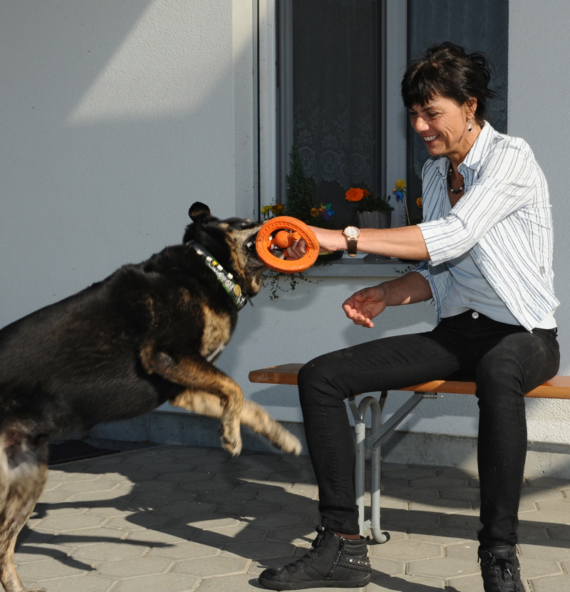 hund2.jpg